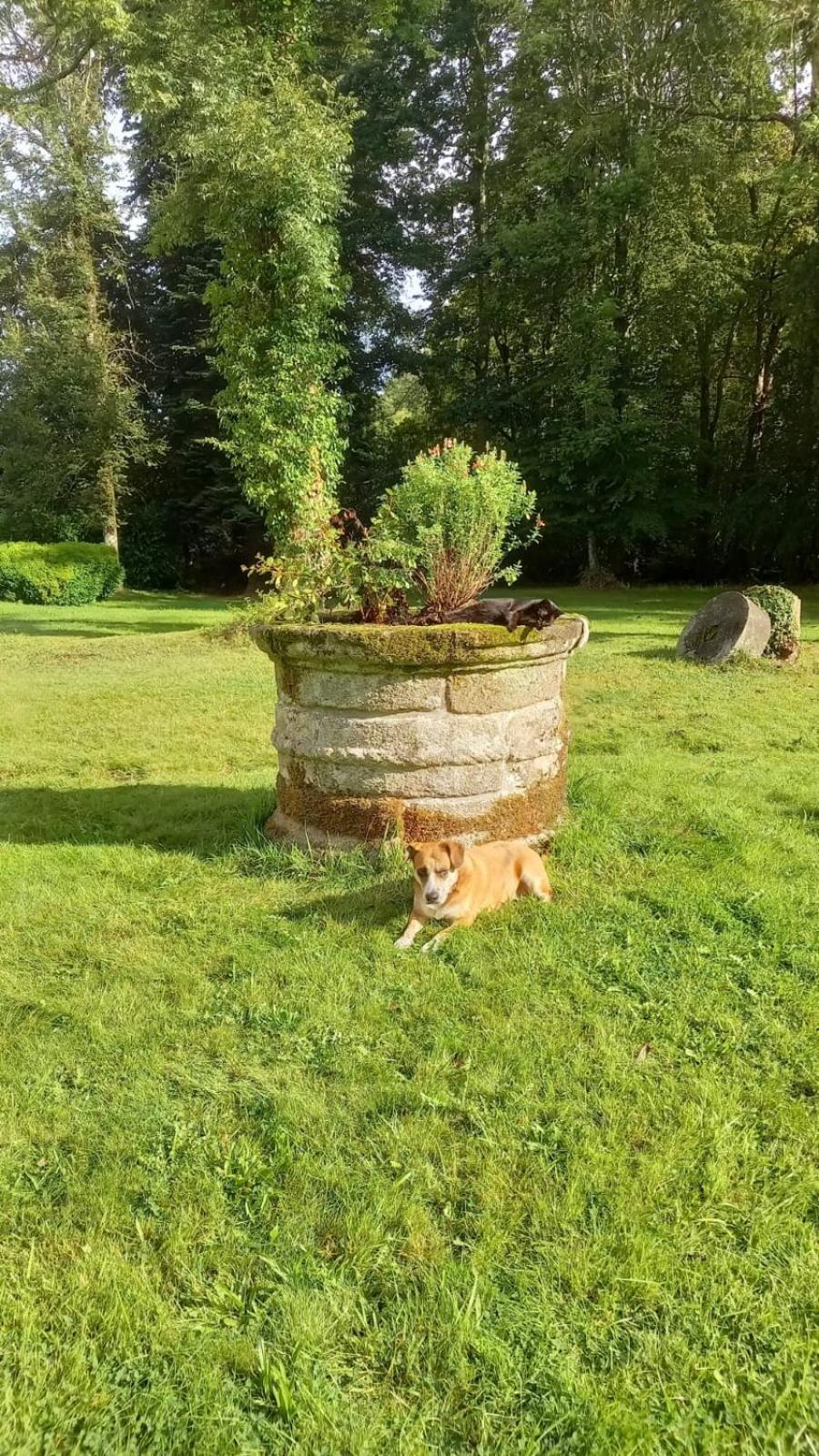La Lande Hotel Pleyber-Christ ภายนอก รูปภาพ